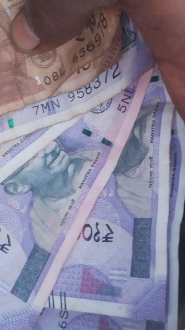 Palak selling in market