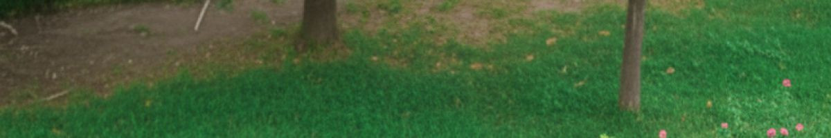 112945136906835520140 