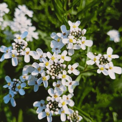 crazy_gaming_929 crazy_gaming_929