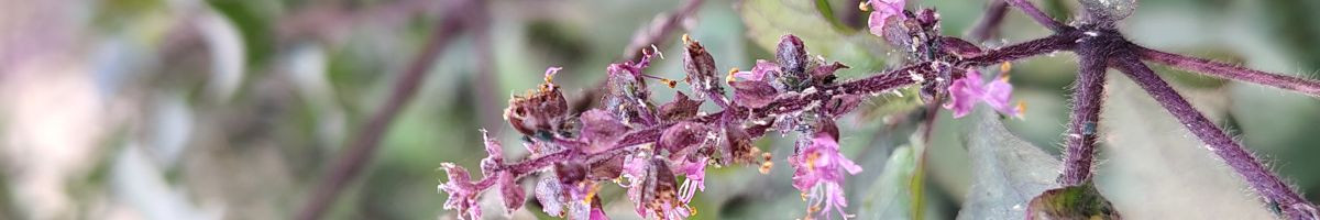 102933929595512911494 