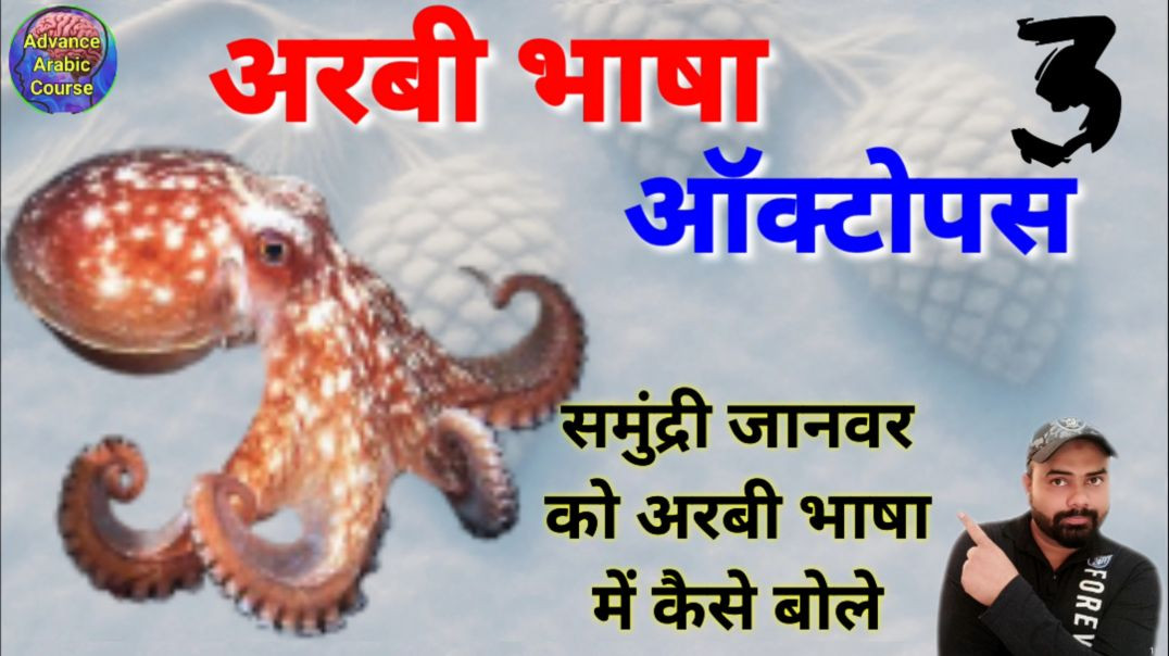 ⁣समुंद्री जानवर को अरबी भाषा में कैसे बोले
