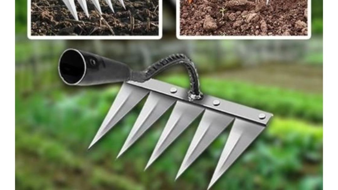 ⁣Masin pe kam karo to dhayan rakho