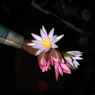 109339944637267163136 