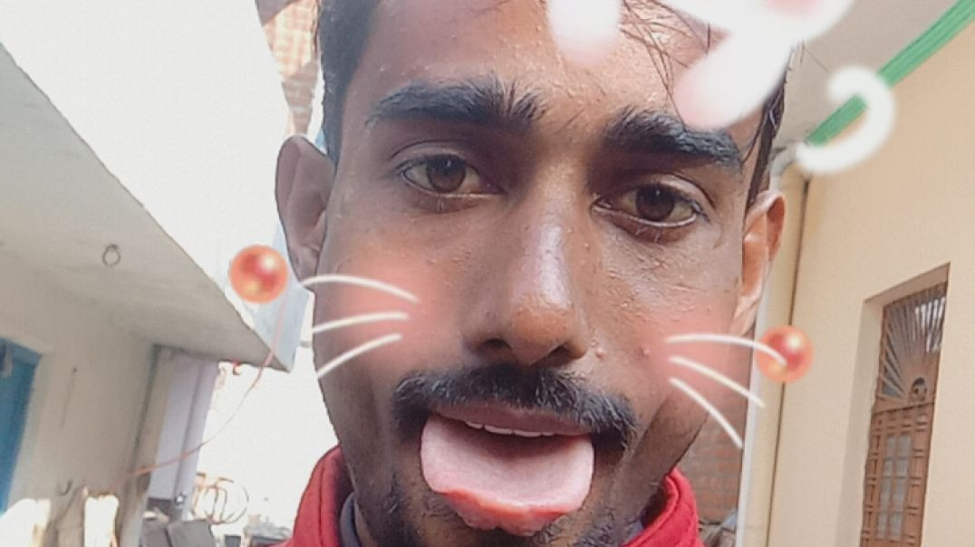 InShot_20251217_193536765