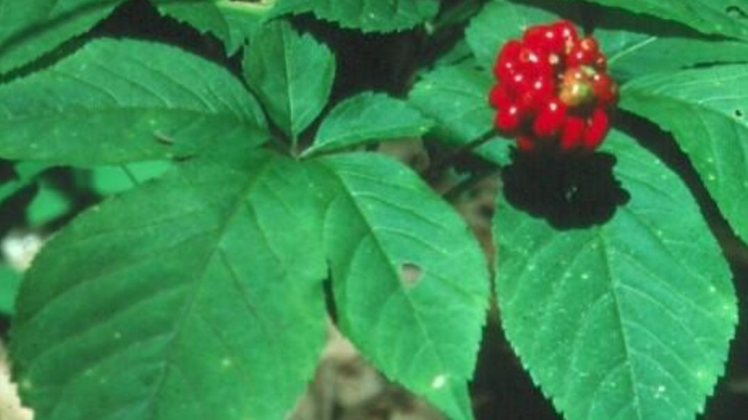 ⁣Mostly popular video