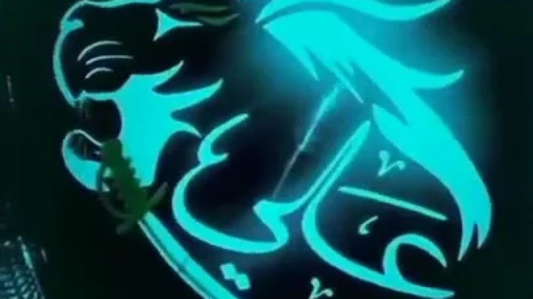 InShot_20251208_220245930