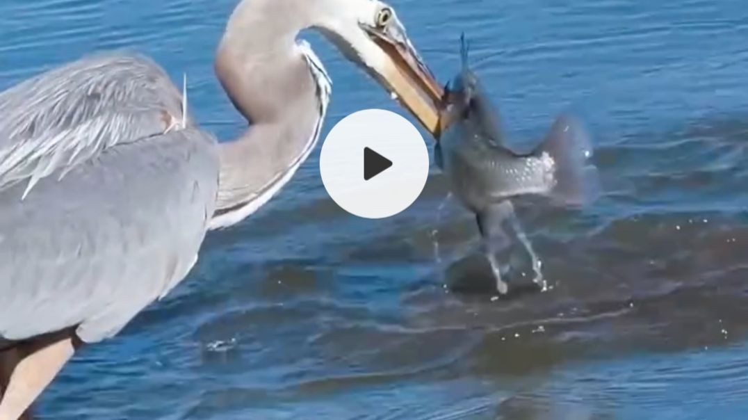 ⁣#viral#vlog#vlogs#reels#discovery