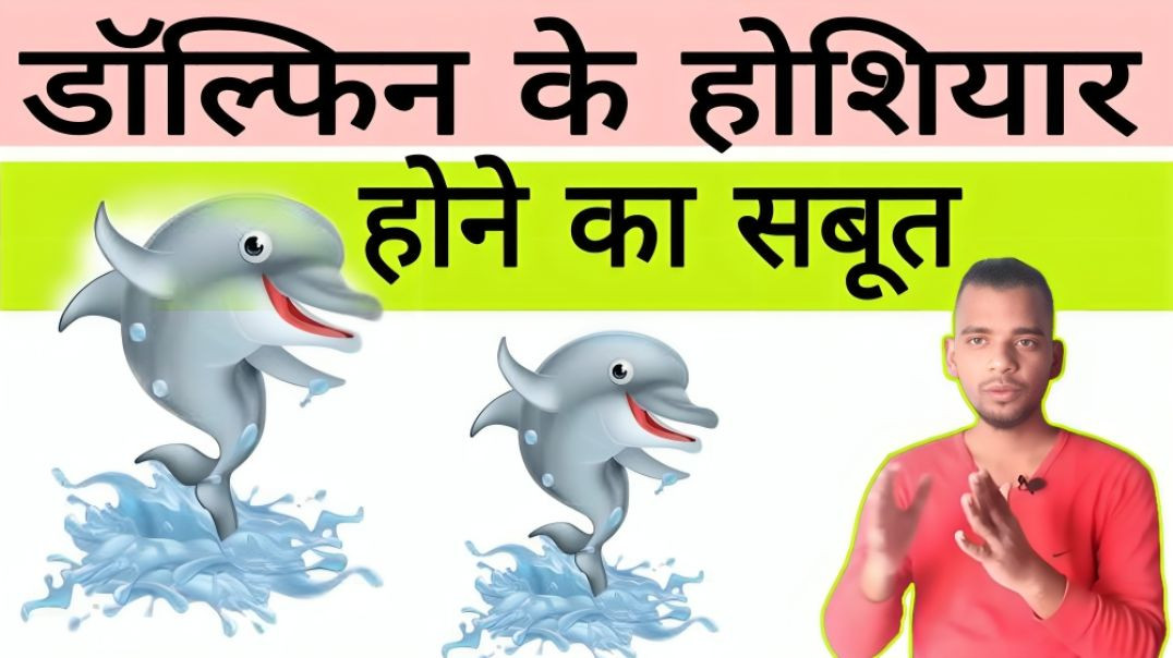 ⁣डॉल्फिन कितने होशियार होते है 🐬 | Dolphin | Inteligent | AC Prashant