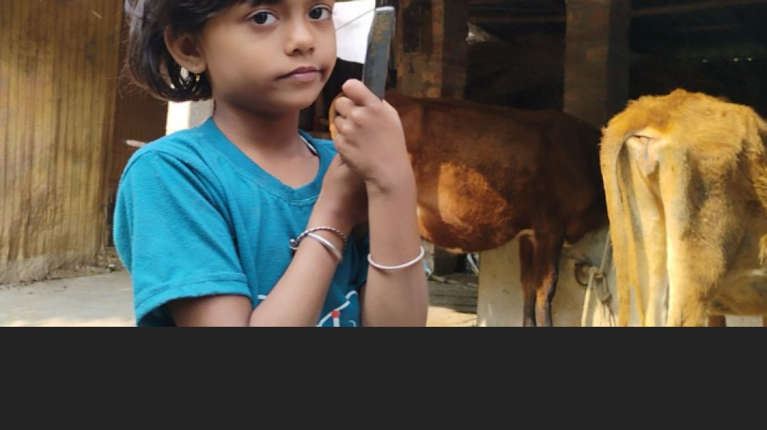 ⁣আজ আমরা সবাই গো মাতার সঙ্গে।রিখ, দীয়া, আমি জয়শ্রী, আর দাদাভাই #Gomata# villagevlog