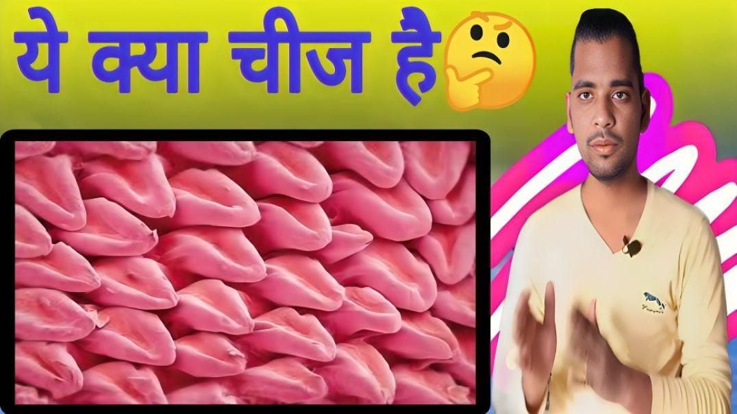 ⁣यदि बिल्ली की जीभ को Zoom Out करे तो ? | Cat | Cat Tongue | AC Prashant