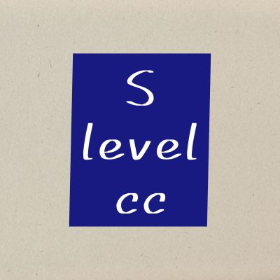 slevelcc 