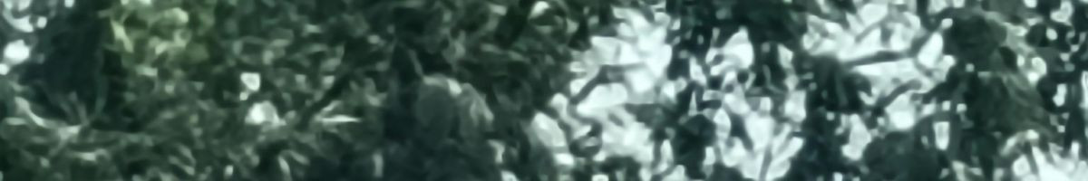 pagalump20 pagalump20