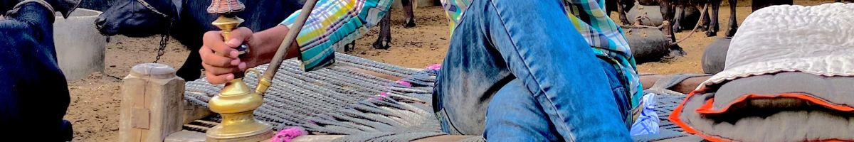 113677808583630582162 