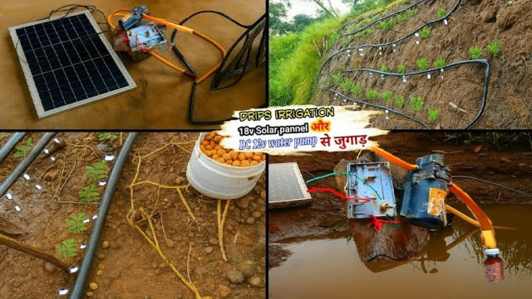 ⁣DC वाटर पंप और झटका मशीन के सोलर पैनल से, ड्रिप इरीगेशन की पाइप को जोड़कर जुगाड़ बनाया | Drips idea