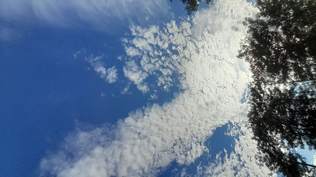 दिलवा_पहले_से_ले_लो_अब_जान_लेबू_का/