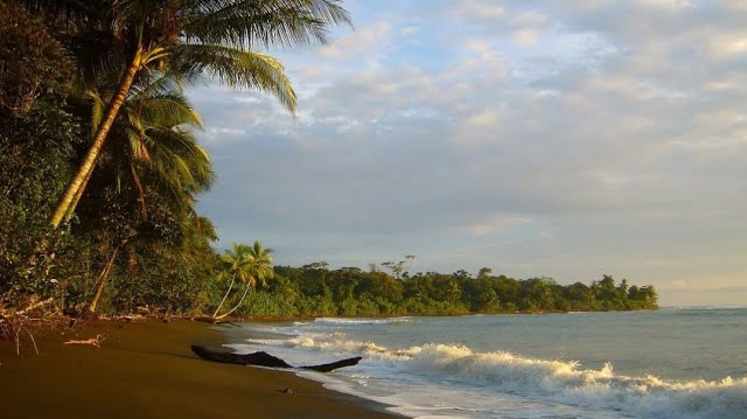 ⁣Sound of Wave and Tropical Beach _ Relaxing Sounds for Sleep_ Meditation_ Zen_ Yoga &amp;amp; Re