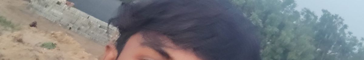 100974694520434530825 