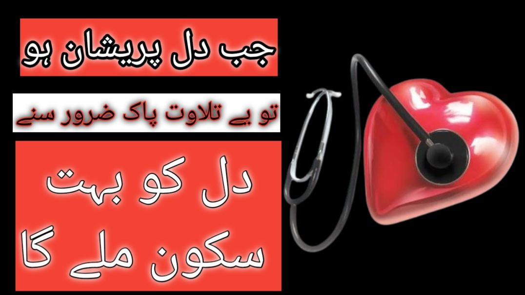 InShot_20251206_205601724