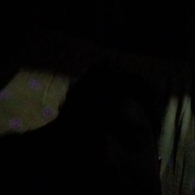 107988275254144262898 