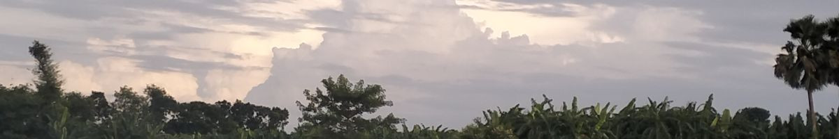 109753995936988130656 