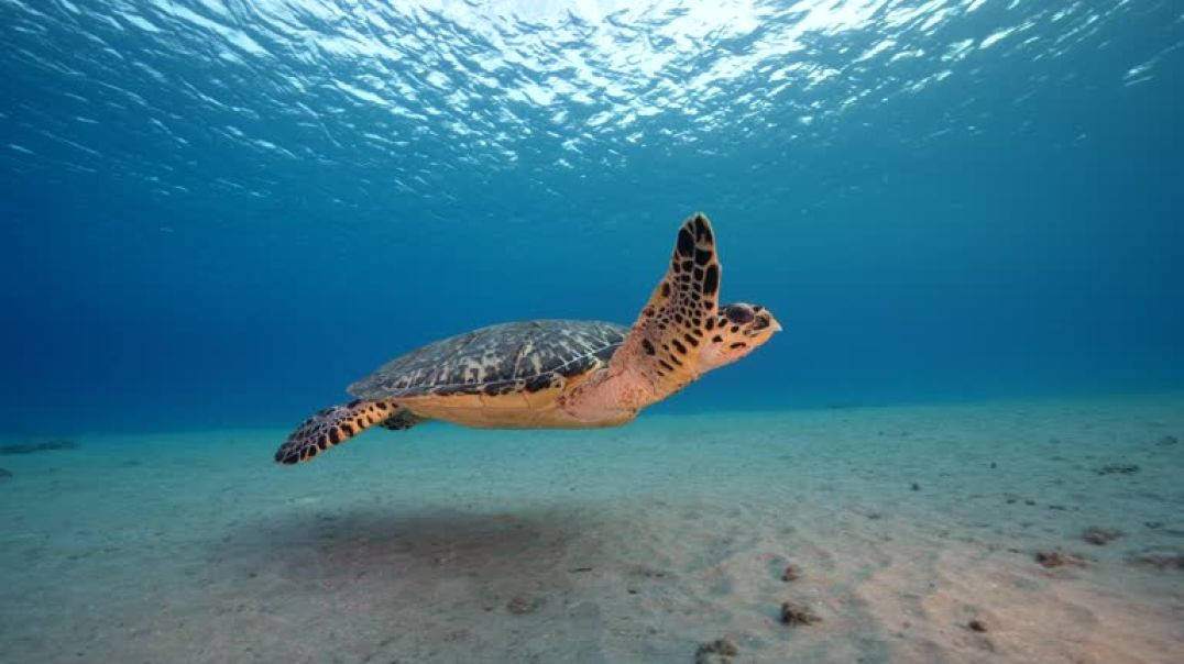 video_20250804_124549