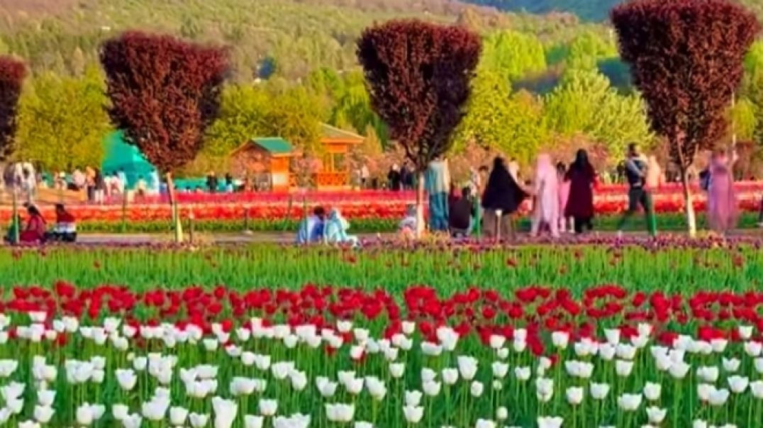 🚩💯 rafta rafta ghazal#trending ghazal#viral gazal#new ghazal