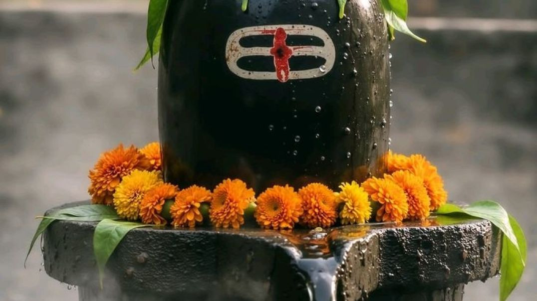 ⁣Om Namah Shivay | Animation Status | Trending