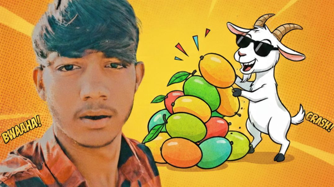 VID_20251212_034513_365