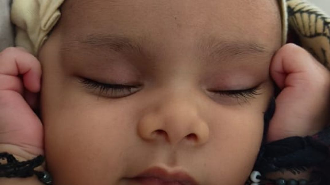 VID_20251205_085745_420_bsl