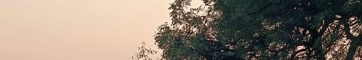 Ram Avtar