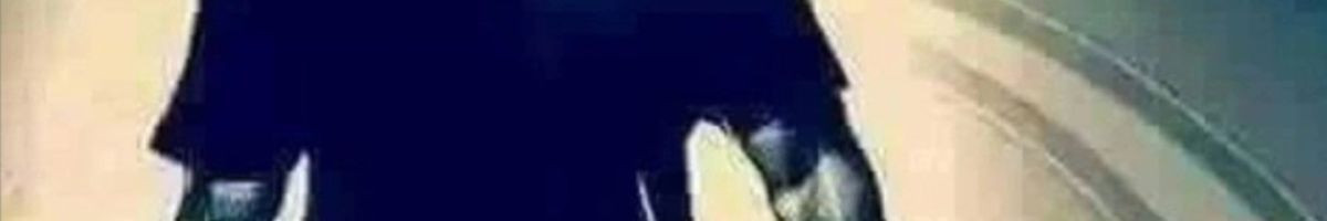 Rajasthaniculture29 Rajasthaniculture29