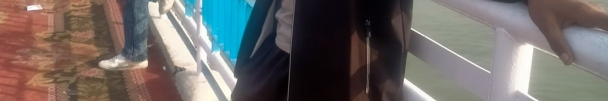 Dccvlogger
