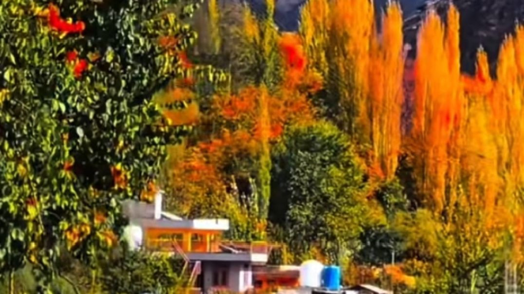 ⁣🌹💕🙏❤🌹#aisi laagi lagan new remix song#Bhagwan ke bhajan#Krishna bhajan#Shyam ji ke bhajan#live  (1)