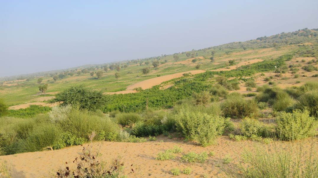 VID_20251119_201145_237