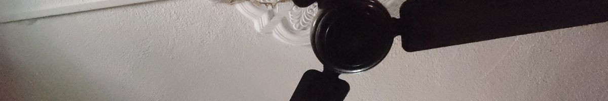 106002116594429639608 