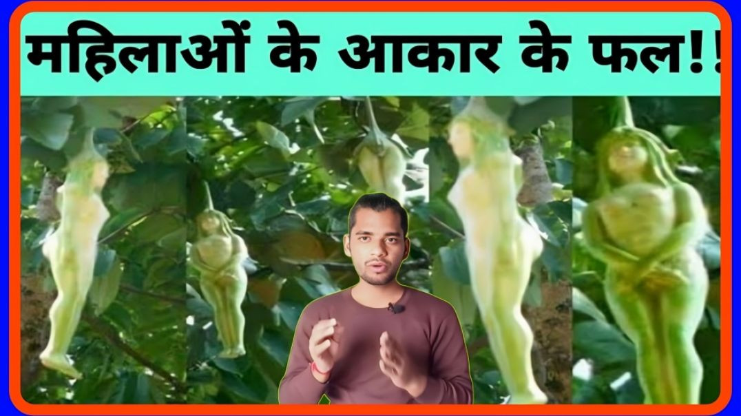 ⁣Women shape Fruit || Mahilao ki aakriti ke fal || AC Prashant Clip