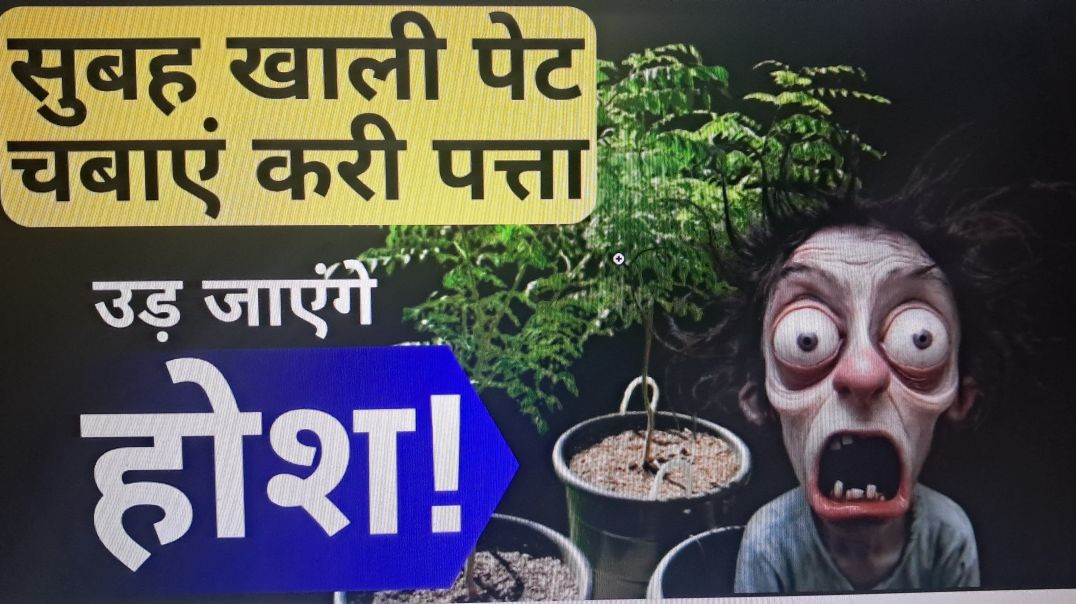 एक बार खाएंगे बार बार आएंगे ll सेहत का पावरहाउस ll प्रकृति का वरदान