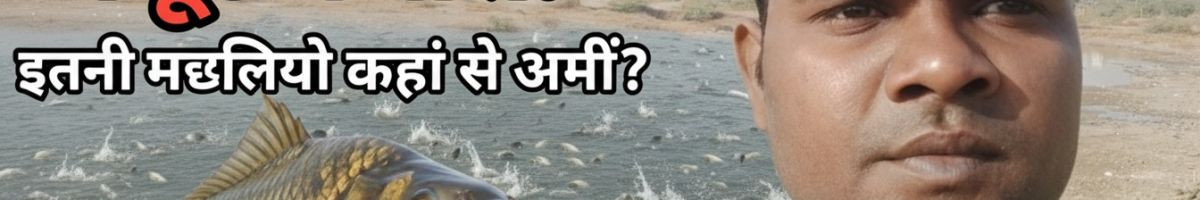 104204236387631660137 