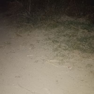 116179121020614142457 