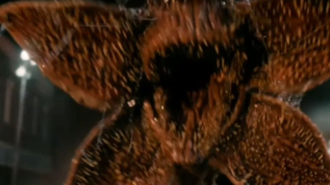 ⁣Best Hollywood Movie