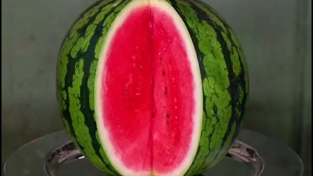 ⁣Untitled 🍊🍊🍊🍊