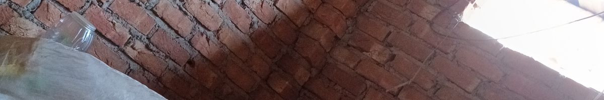 103496457301007900449 