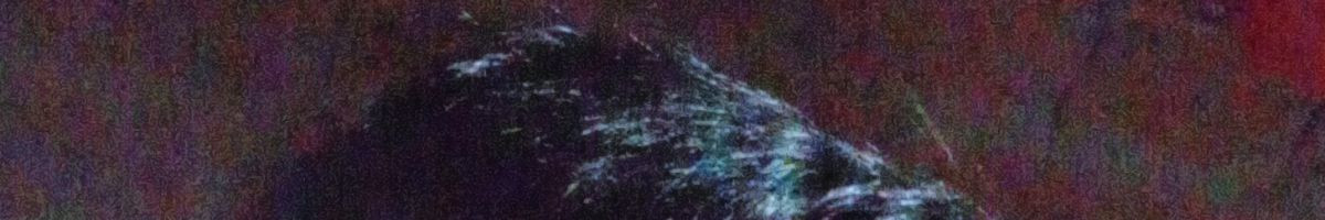 01bc08384