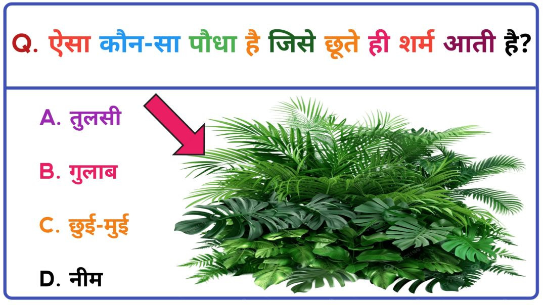 ⁣General knowledge |Gk|GK Videos |जनरल नॉलेज |Gk in hindi |questions and answers |