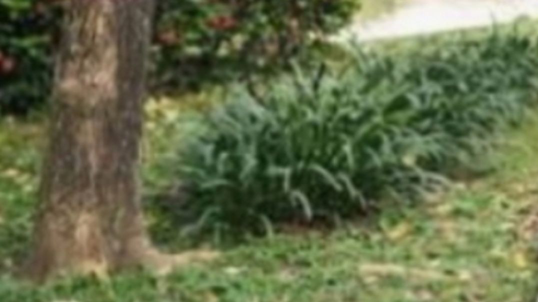 ⁣AISA KRO GE TO MAST RHOGE