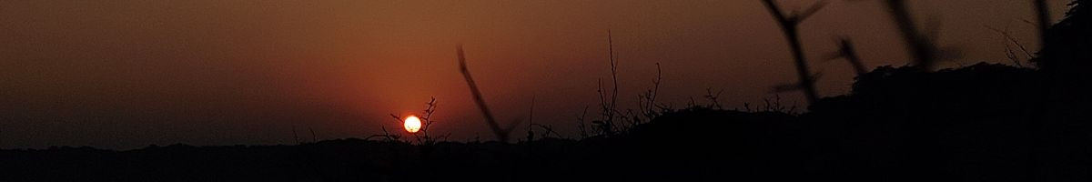 115776510002643963051 