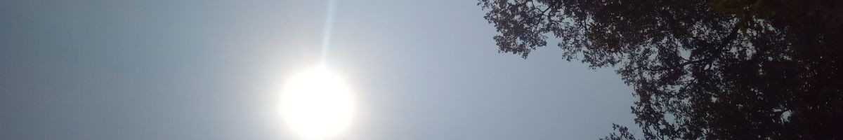 111472772798926079171 