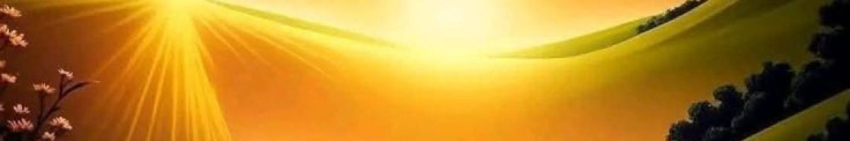 110192396427941096993 