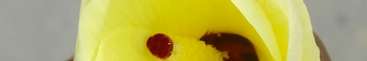 101389709164160544979 