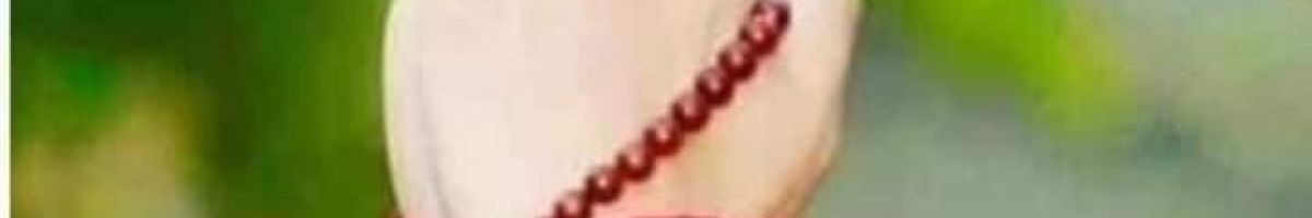 104177005816387752549 